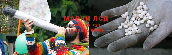 стафф Володарск