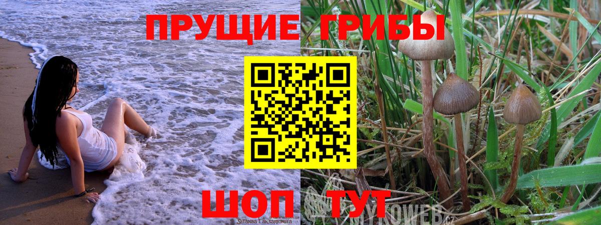 Галлюциногенные грибы прущие грибы  Галлюциногенные грибы Psilocybe  Вход с VPN  Югорск 